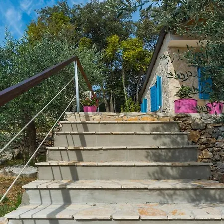 Casa Oliva Ii Pensión *
