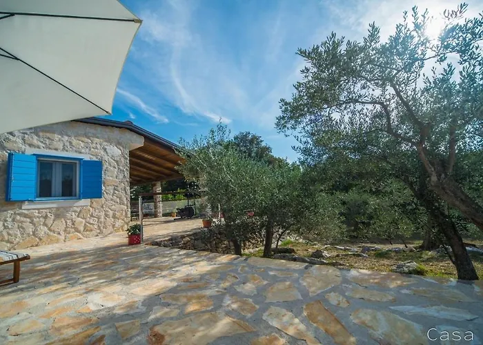 Penzion Casa Oliva Ii