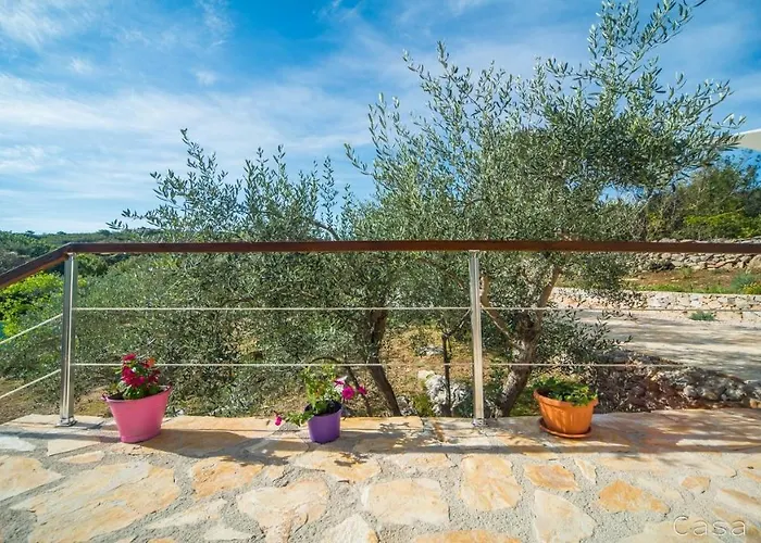 Casa Oliva Ii Penzion