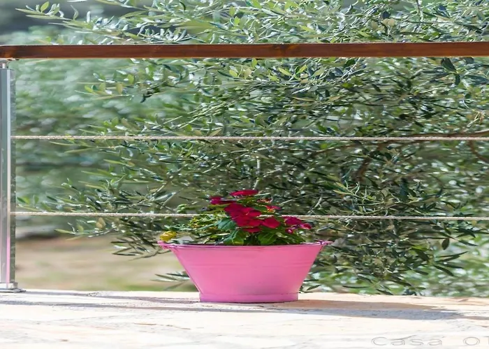 Casa Oliva Ii