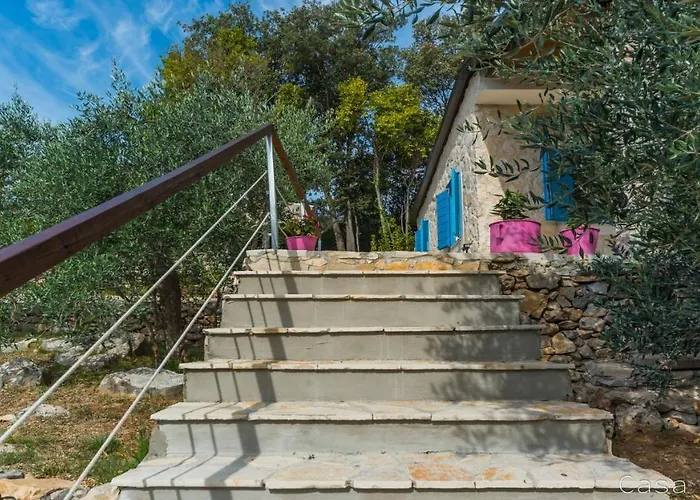 Casa Oliva Ii Affittacamere 4*
